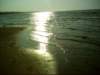 dsci0055_small.jpg