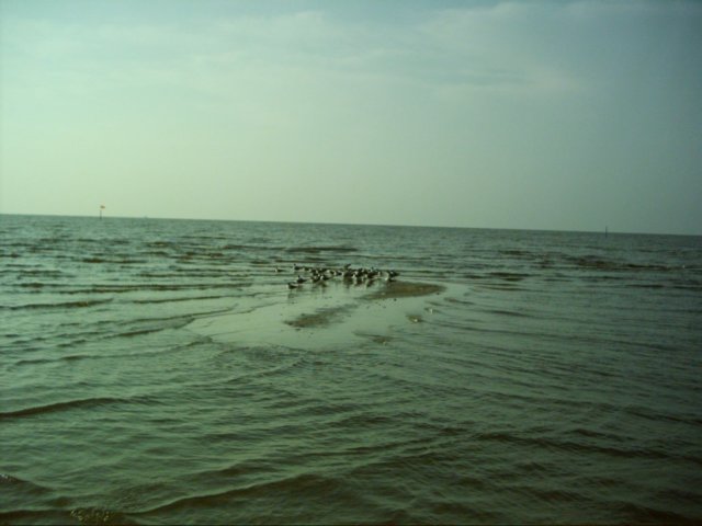 dsci0059.jpg