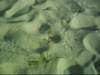 dsci0065_small.jpg