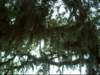 dsci0074_small.jpg