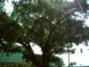 dsci0077_small.jpg
