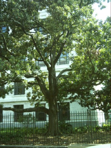 dsci0086.jpg