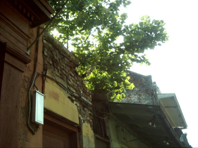 dsci0105.jpg