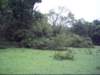 dsci0064_small.jpg