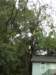 dsci0071_small.jpg