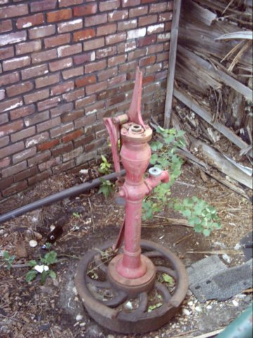dsci0051.jpg