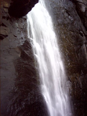 dsci0042.jpg