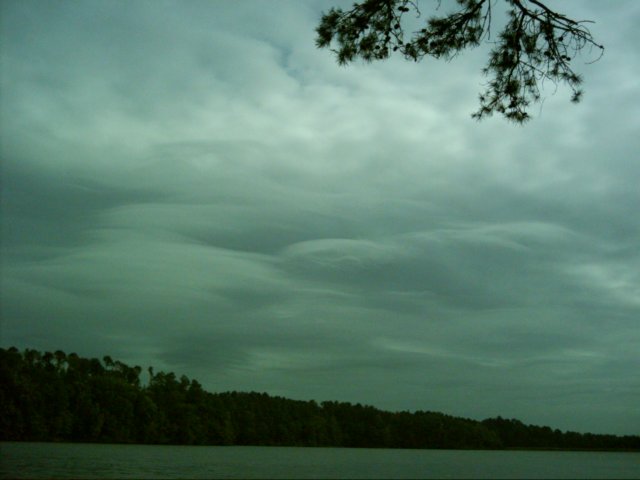 dsci0006.jpg