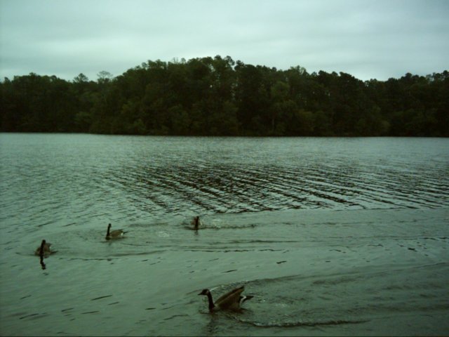 dsci0187.jpg