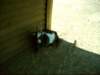 dsci0066_small.jpg