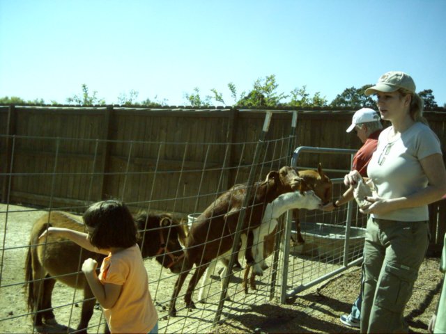 dsci0073.jpg