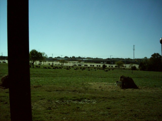 dsci0120.jpg