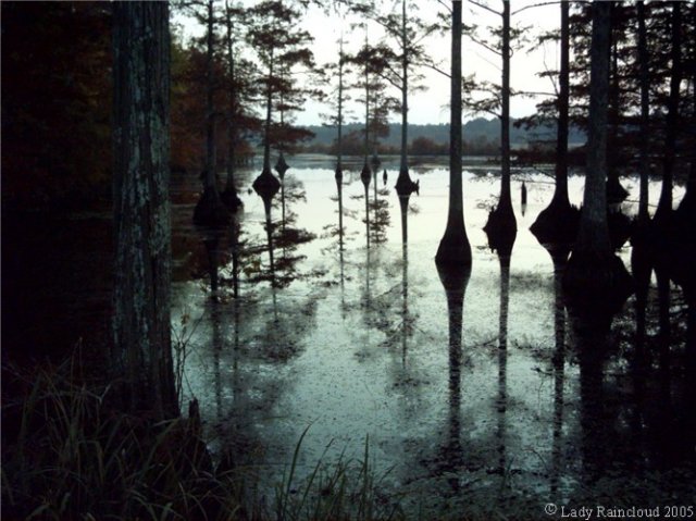 noxubee166.jpg