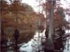 noxubee179_small.jpg