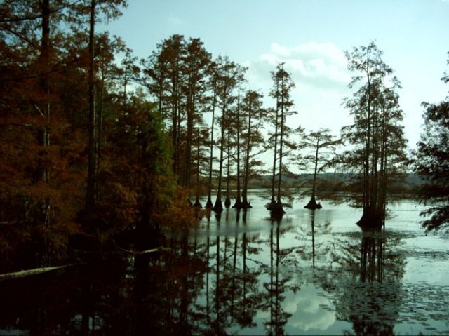 noxubee_dsci0040.jpg