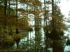 noxubee_dsci0041_small.jpg