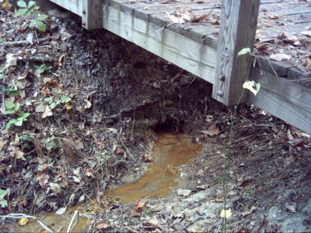 noxubee_dsci0074.jpg