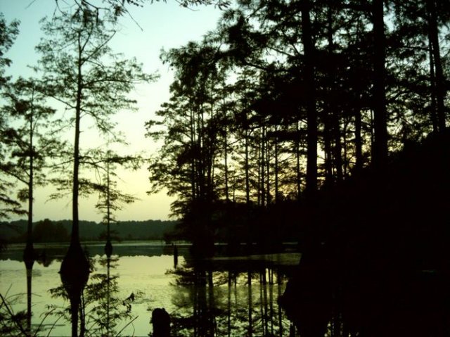 noxubee_dsci0158.jpg