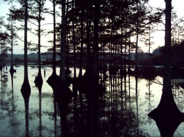 noxubee_dsci0165.jpg