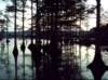 noxubee_dsci0165_small.jpg