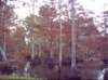 noxubee_dsci0174_small.jpg