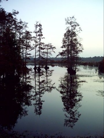 noxubee_dsci0176.jpg