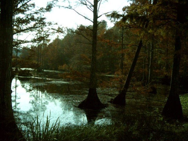 dsci0009.jpg