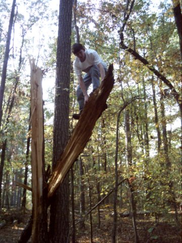 dsci0054.jpg