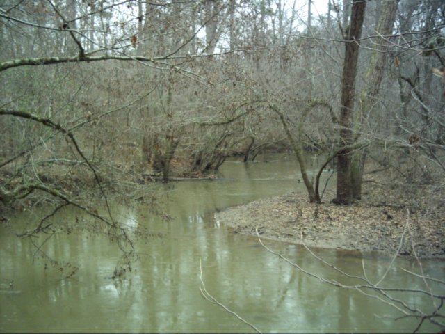 dsci0025.jpg