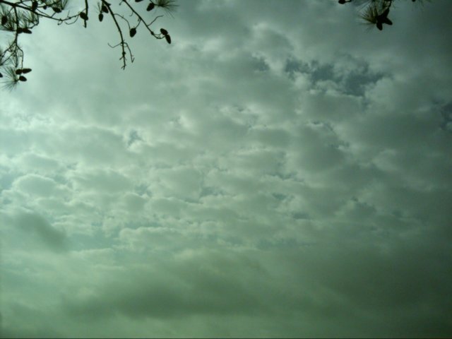 dsci0028.jpg