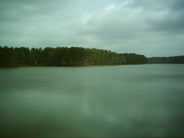 dsci0040.jpg