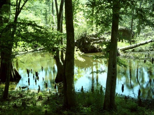 nanih_waiya_dsci0005.jpg