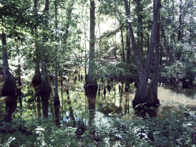 nanih_waiya_dsci0008.jpg