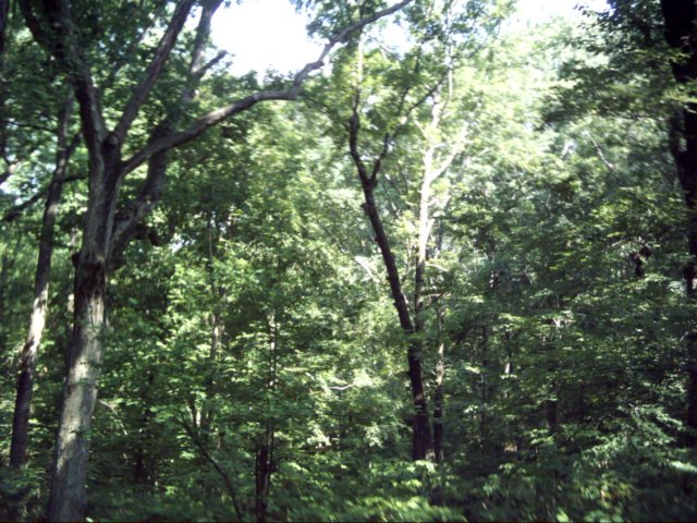 dsci0005.jpg