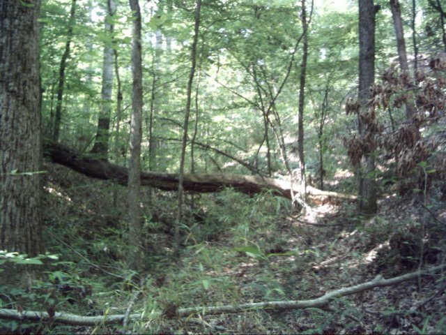 dsci0007.jpg