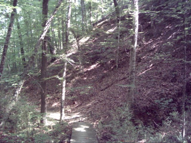 dsci0009.jpg