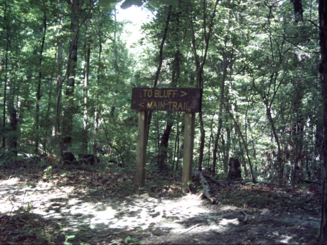 dsci0023.jpg