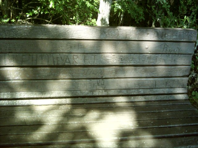 dsci0028.jpg