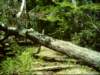 dsci0037_small.jpg