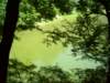 dsci0043_small.jpg