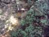 dsci0064_small.jpg