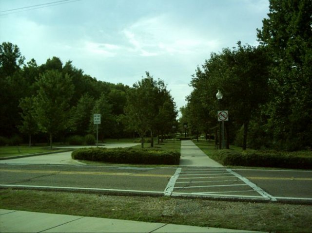 kittydill_dsci0018.jpg