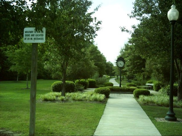 kittydill_dsci0021.jpg