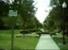 kittydill_dsci0021_small.jpg