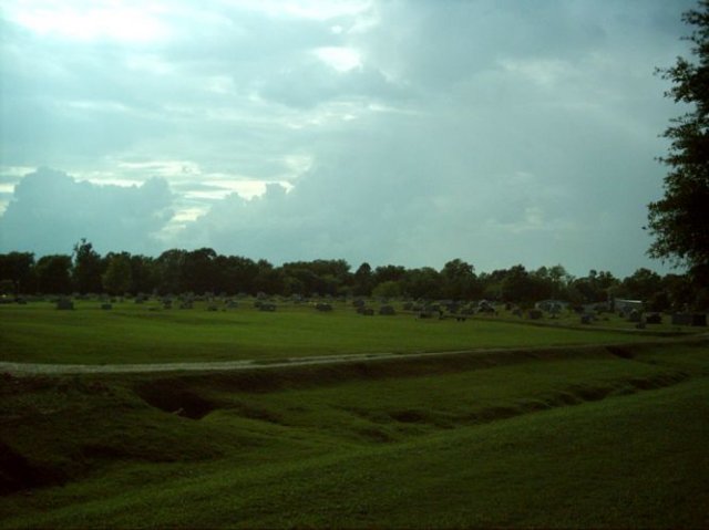 kittydill_dsci0025.jpg