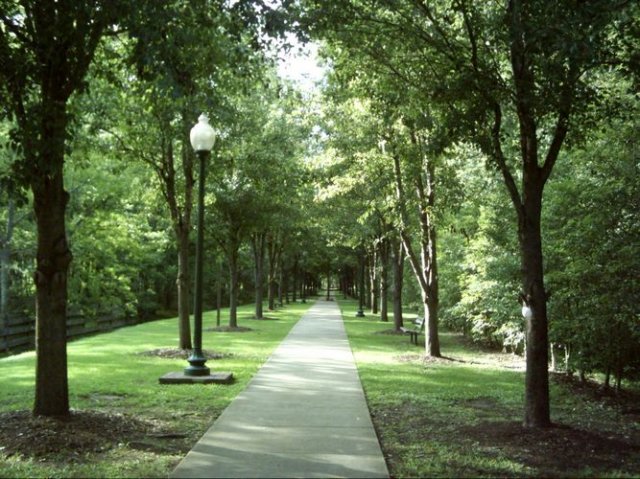 kittydill_dsci0032.jpg