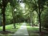 kittydill_dsci0032_small.jpg
