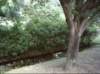 kittydill_dsci0037_small.jpg
