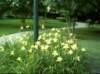 kittydill_dsci0038_small.jpg