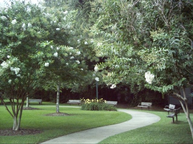 kittydill_dsci0039.jpg